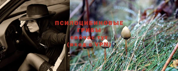 скорость mdpv Пересвет